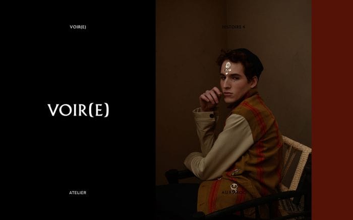 VOIR(E) website preview