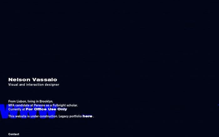 Nelson Vassalo website preview