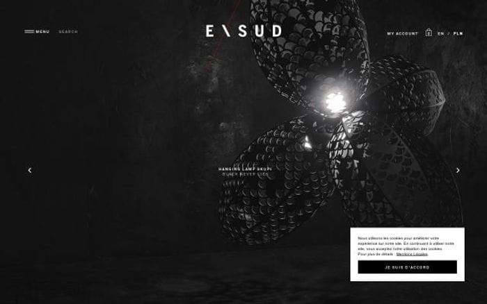 Exsud website preview