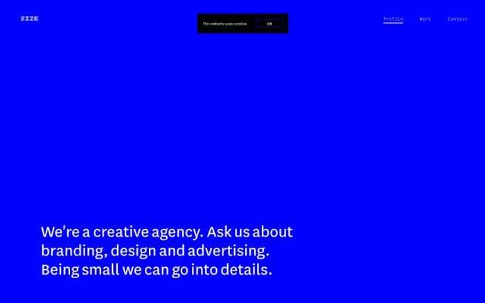 Size website preview