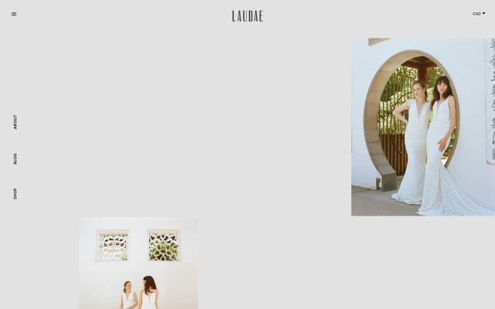 LAUDAE website preview
