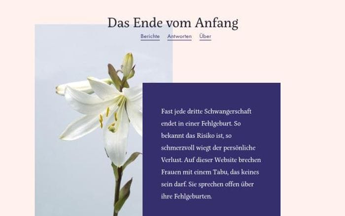 Dasendevomanfang website preview