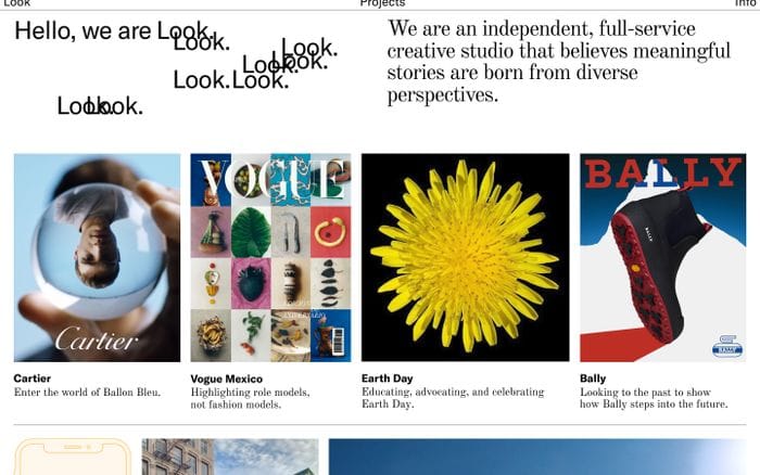 Look website preview