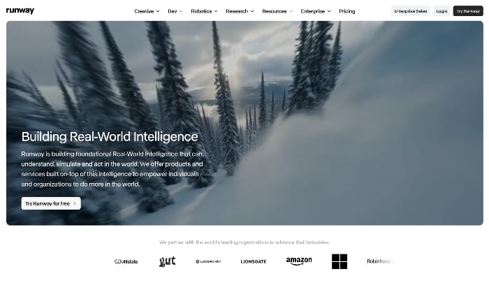 Runway website preview