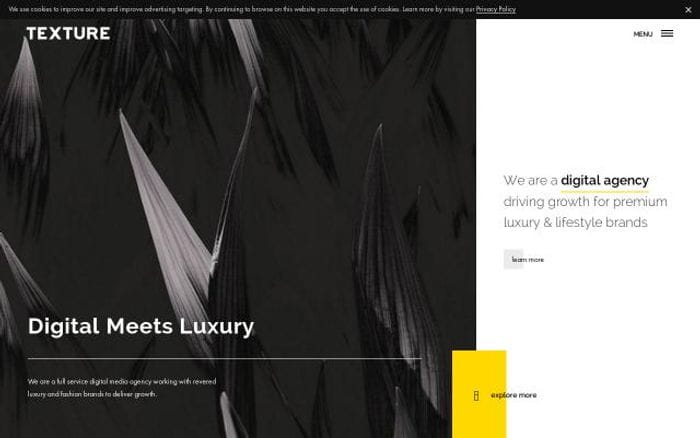Texture website preview