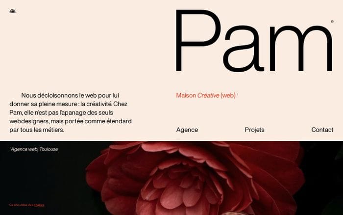 Pam website preview