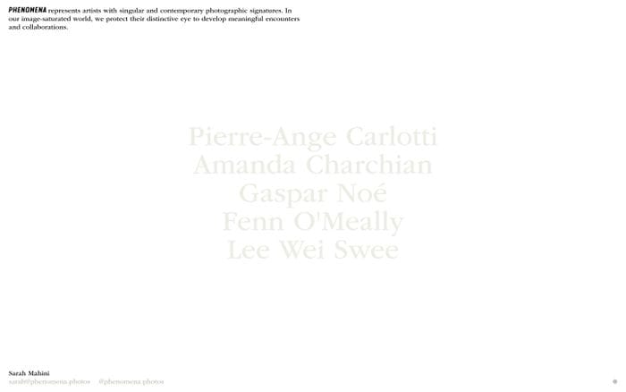 Phenomena website preview