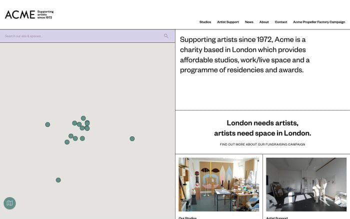 Acme website preview