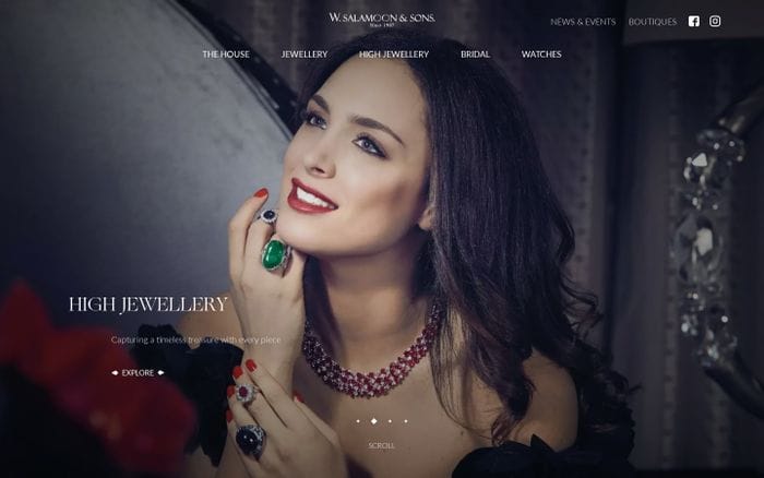 W. Salmoon & Sons | Home website preview