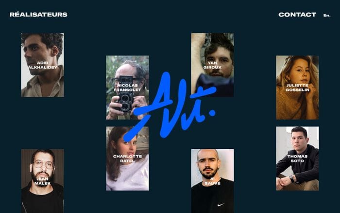ALT website preview