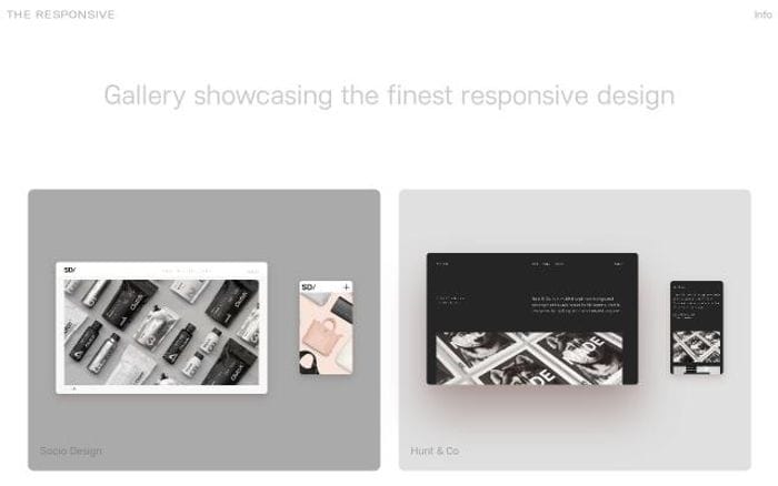 The-responsive website preview