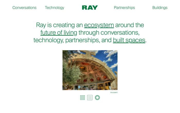 Ray website preview