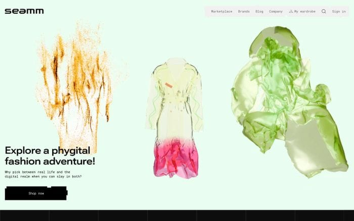 Seamm website preview