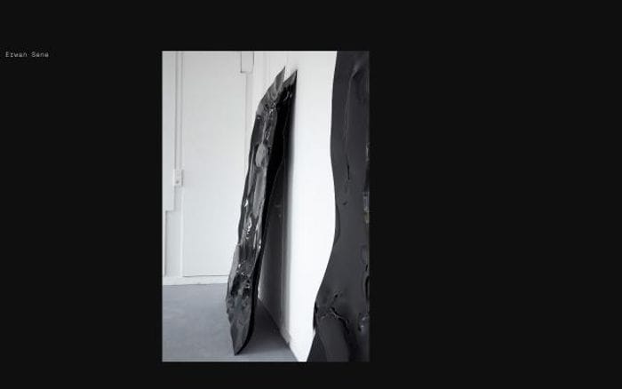 Erwansene website preview