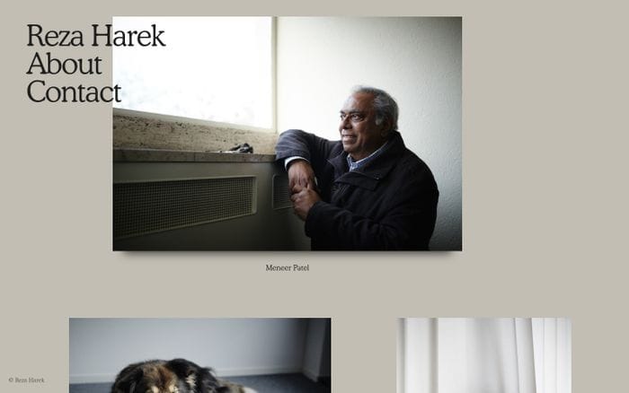 Reza Harek website preview