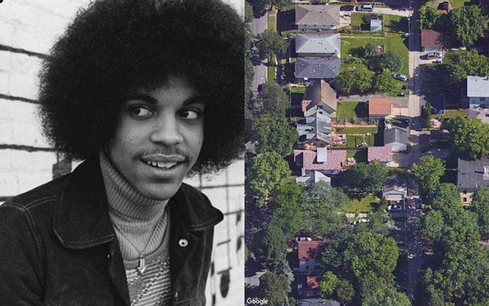 Prince's Early Years website preview