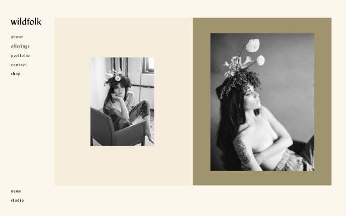 Wildfolkstudio website preview