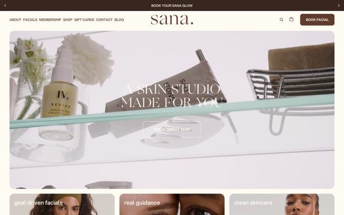 Sana Skin Studio website preview