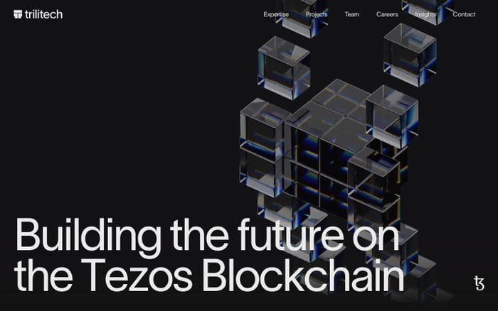 TriliTech website preview