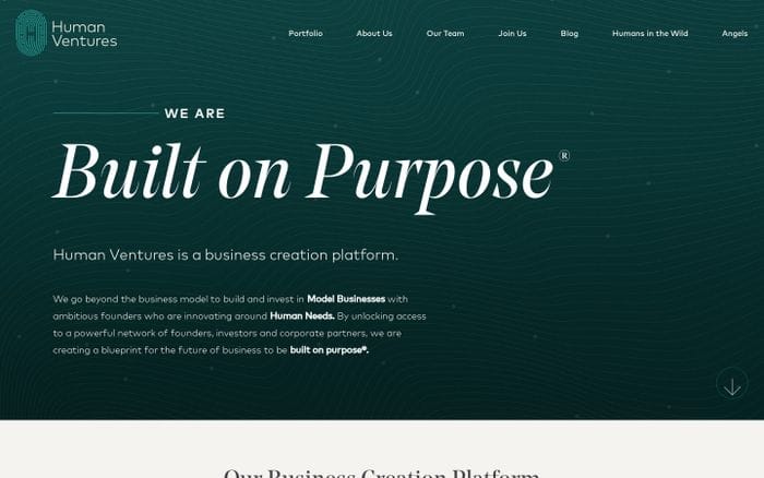 Human Ventures website preview