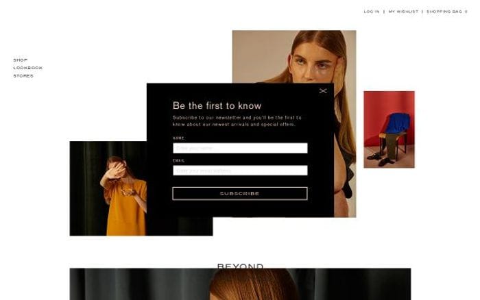Beyondthevines website preview