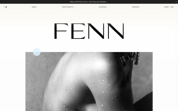 Fenn website preview