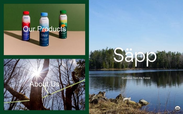 Säpp - Organic Birch Water website preview