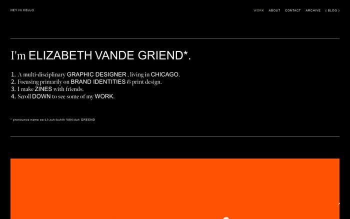 ELIZABETH VANDE GRIEND website preview