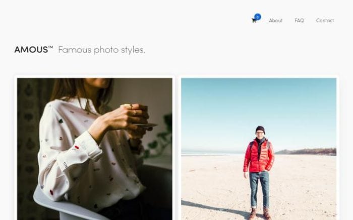 Amous website preview