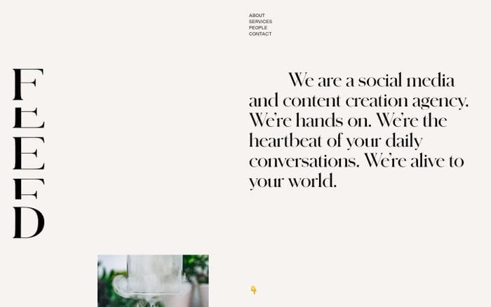 Feed social website preview
