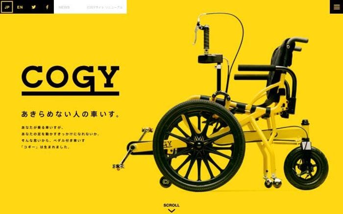 Cogycogy website preview