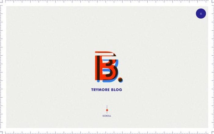 Trymore-inc website preview