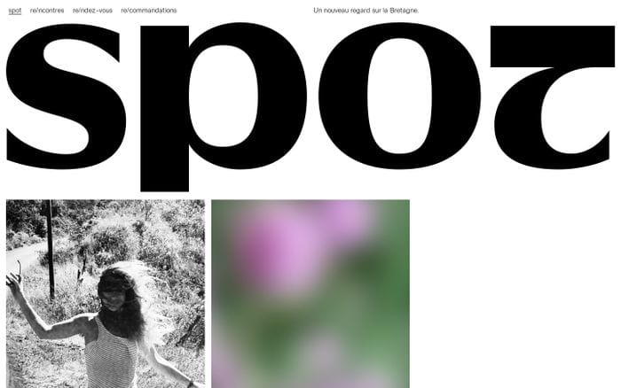 spot website preview