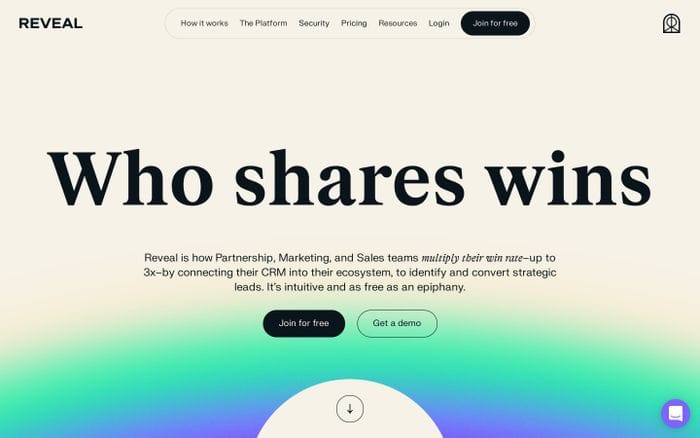 Reveal website preview