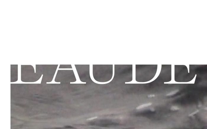 Eaude website preview