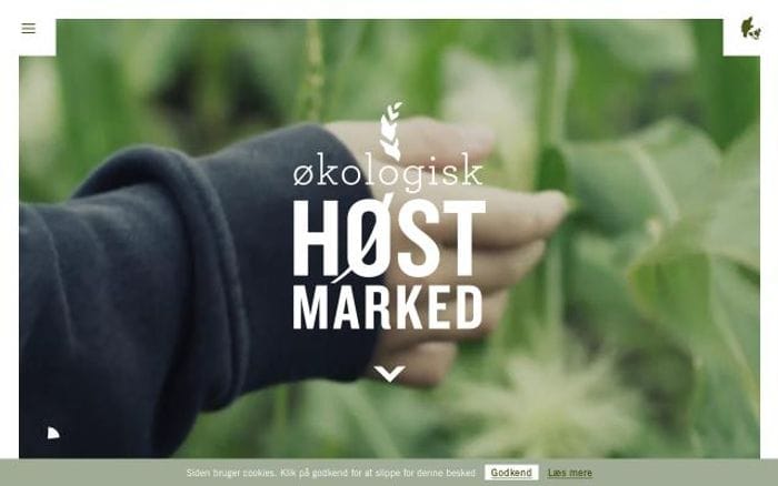 Hostmarked website preview