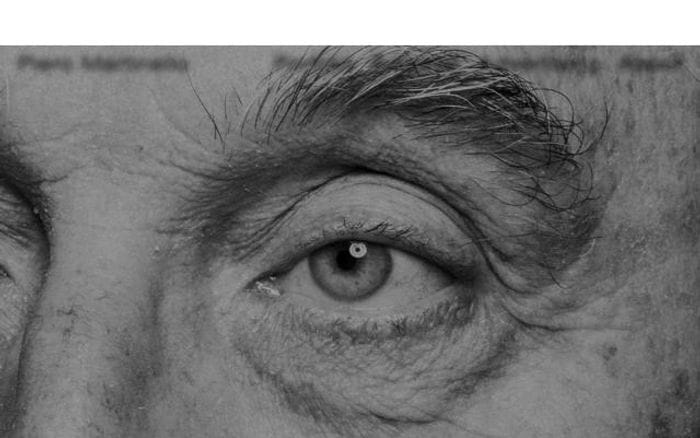 Pieromartinello website preview