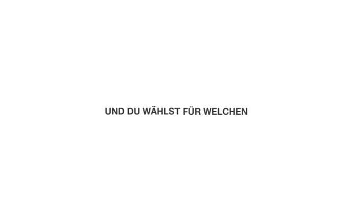 Dieweltisteindesaster website preview