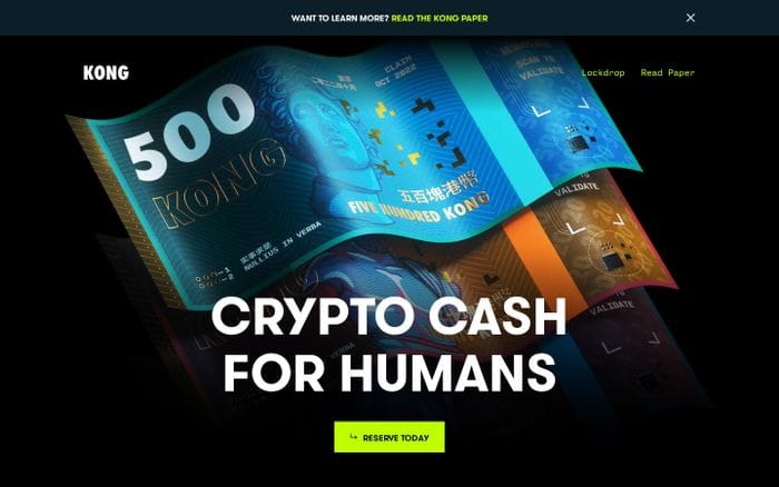 Kong website preview