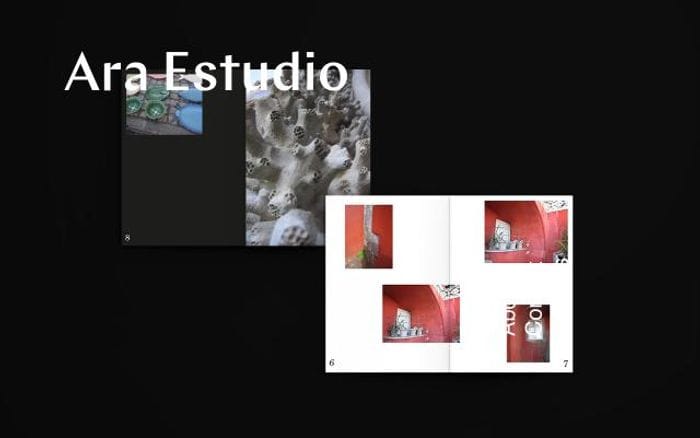 Araestudio website preview