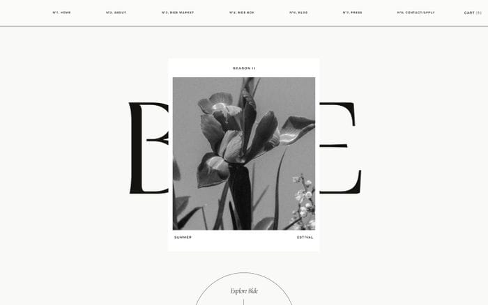 BIDE website preview