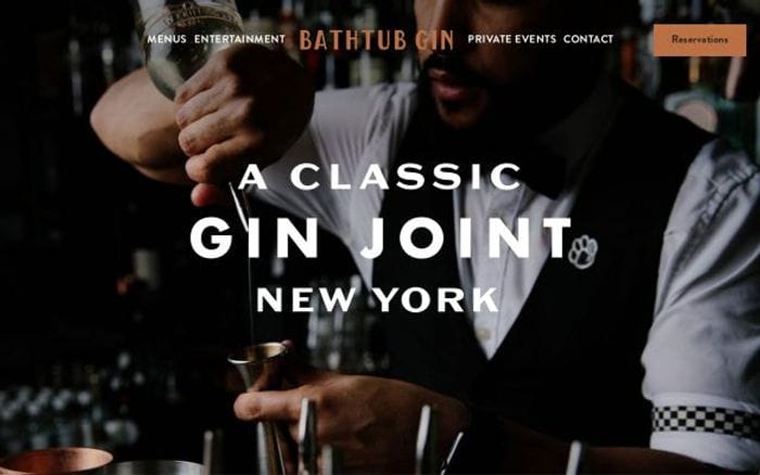 Bathtubginnyc website preview