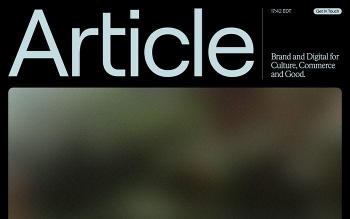 Article website preview