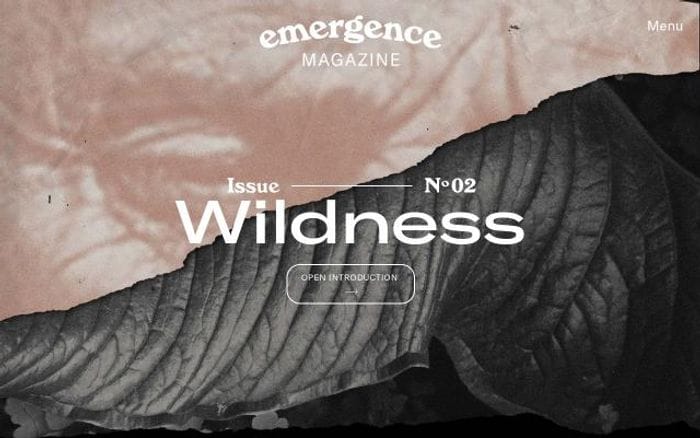 Emergencemagazine website preview