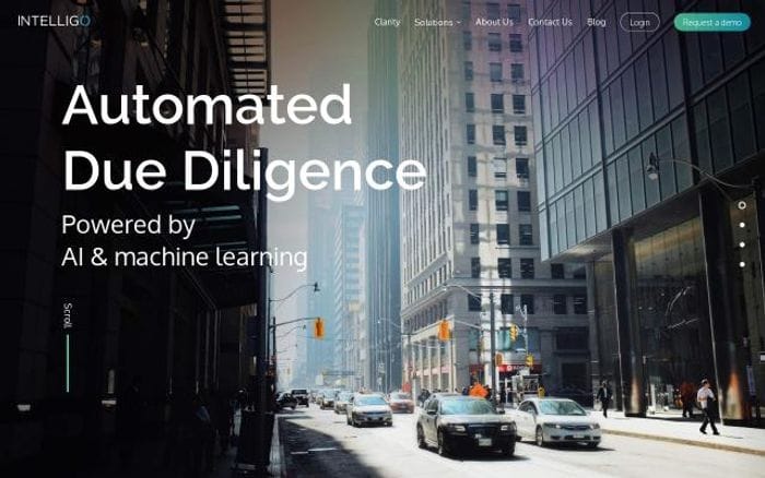 Intelligo website preview