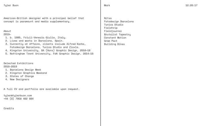 Tyler Buon website preview