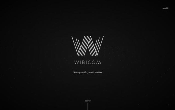 Wibicom website preview