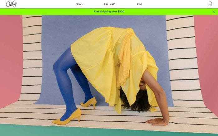 Aelfie website preview