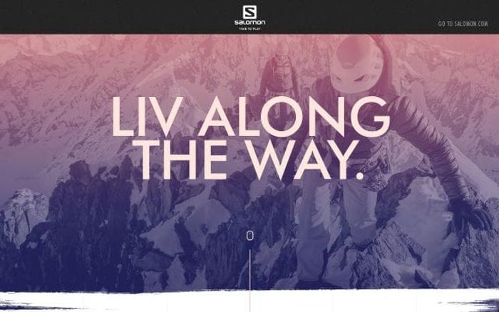Liv-alongtheway website preview