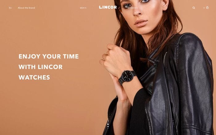 Lincarn website preview